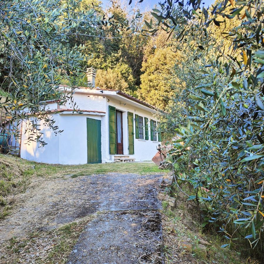 Massaciuccoli Romana Extérieur photo