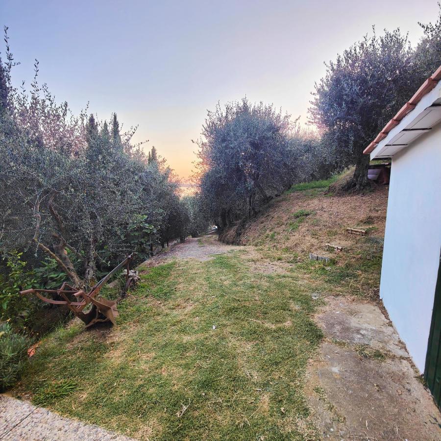 Massaciuccoli Romana Extérieur photo