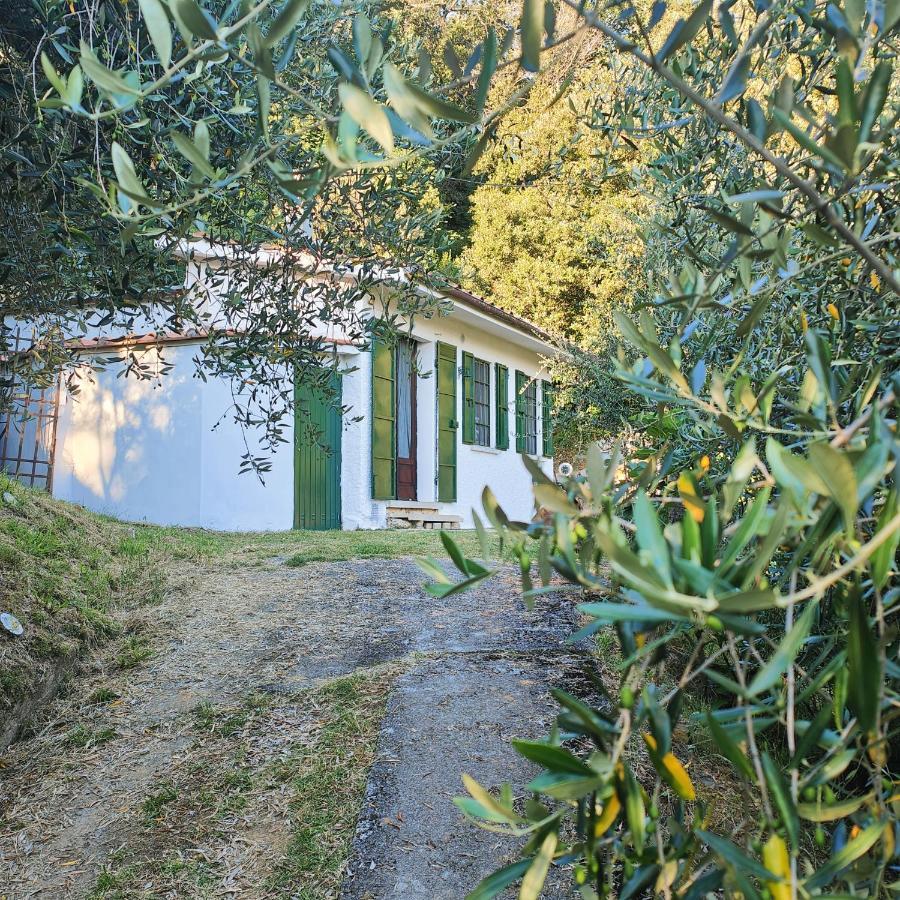 Massaciuccoli Romana Extérieur photo